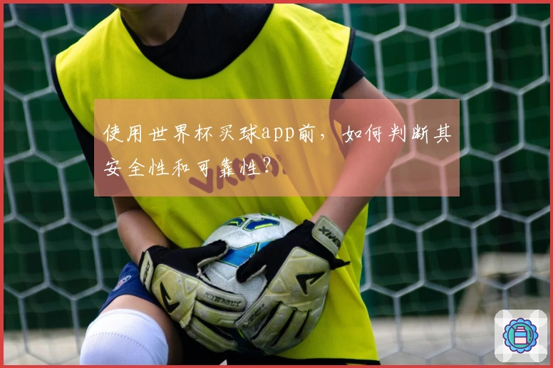 使用世界杯买球app前，如何判断其安全性和可靠性？