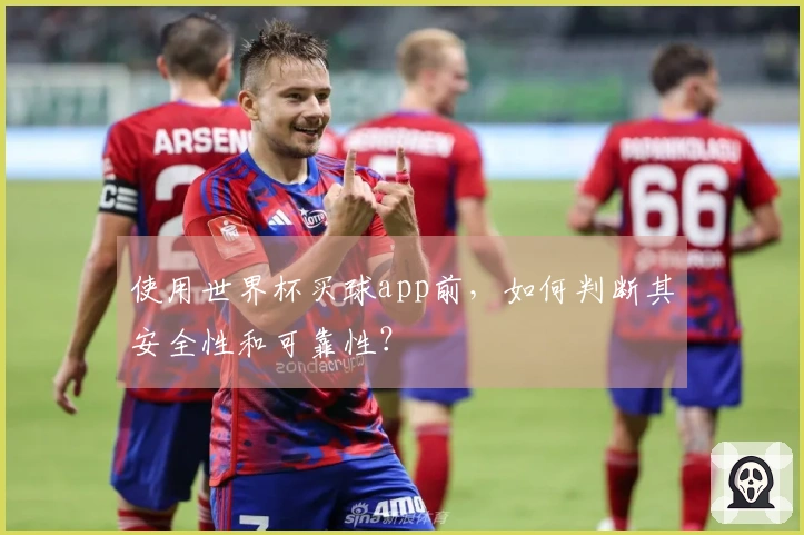 使用世界杯买球app前，如何判断其安全性和可靠性？