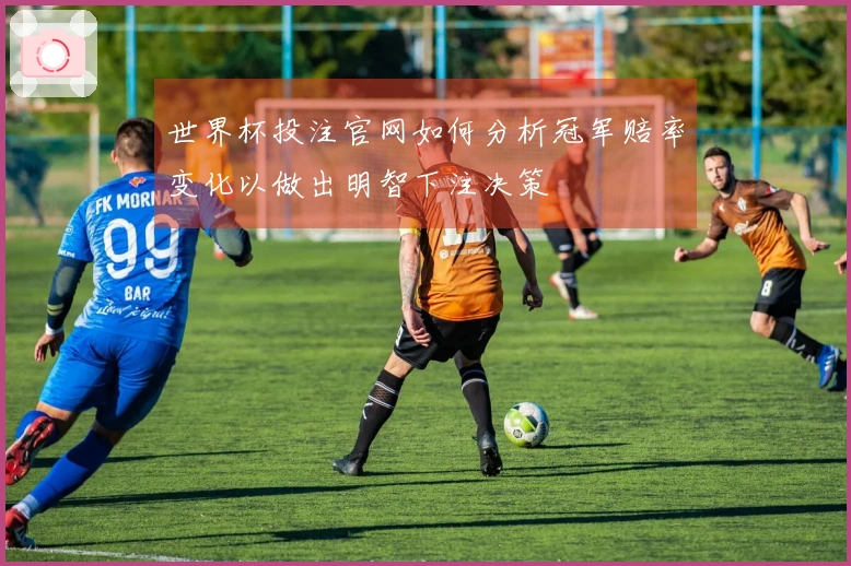 世界杯投注官网如何分析冠军赔率变化以做出明智下注决策