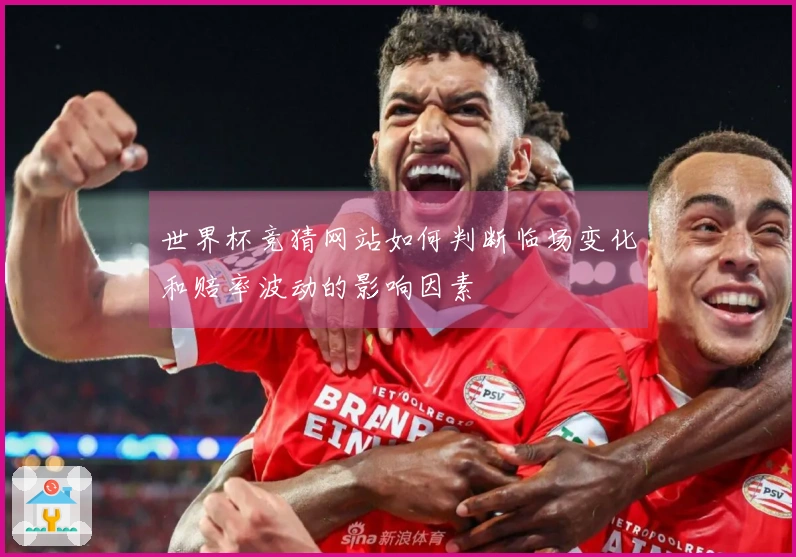 世界杯竞猜网站如何判断临场变化和赔率波动的影响因素